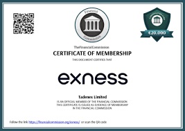 Unlocking the Secrets of the Exness Broker Cabinet